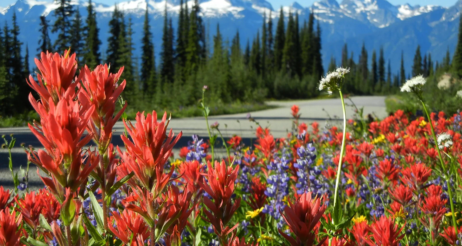 British Columbia