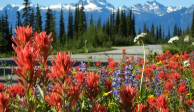 British Columbia