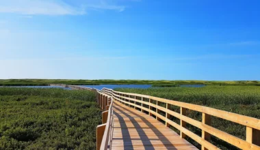 Prince Edward Island
